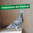 Röhnfried Kräuter-Gemüse-Mix 500 gramm zur Unterstützung der Vitalität