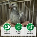 Röhnfried OptiBreed 1 kg zur Stabilisierung des Darmtrakts