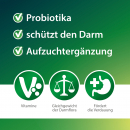 Röhnfried Kükenglück 550 gramm zur Reduzierung von Aufzuchtverlusten