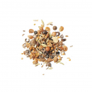 Agrobs Pre Alpin Testudo Saatgut 100 gr.