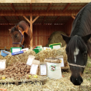 Apuna Leckerli Karotte 2 kg