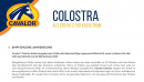 Cavalor Colostra 24 100g