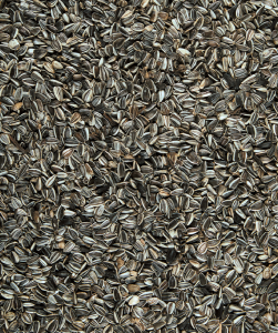 Versele MenuNature Sunflower seeds 1,5 kg