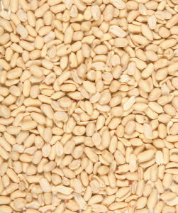 5 x Versele Peeled peanuts  je 1 kg, geschaelte Erdnuesse