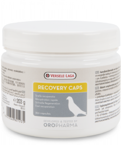 Versele Oropharma Recovery Caps 350 Kapseln
