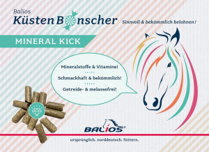 Balios KuestenBonscher Mineral Kick 1 kg