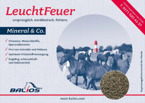 Balios Leuchtfeuer Mineral & Co. 8 kg