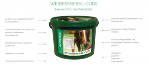 Agrobs Weidemineral-Cobs 10 kg