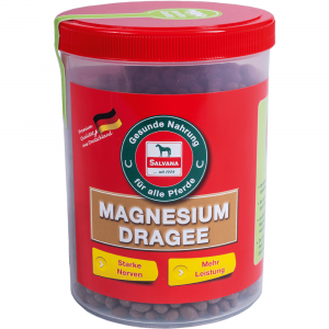 Salvana Magnesium Dragees 750 gr.