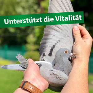 Röhnfried Avidress Plus 5 Liter für vitale Tauben