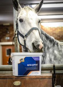 Cavalor Nutri Support, 20 kg - Mineralien- und Vitaminmix für Freizeitpferde